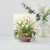 Carte Postale Fleurs Lys Calla en floraison (Debout devant)