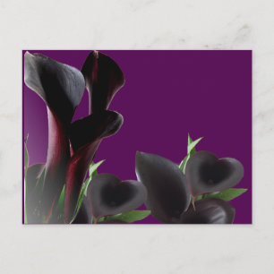 Carte Postale Fleurs Lys Calla Noire