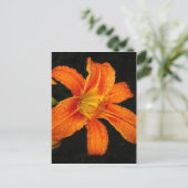 Carte Postale Fleurs Lys De Tigre Orange (Debout devant)