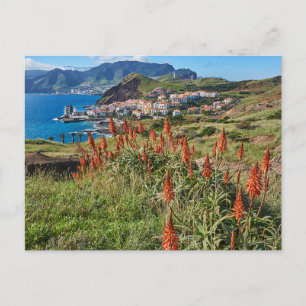 Carte Postale Fleurs   Madeira Island Portugal