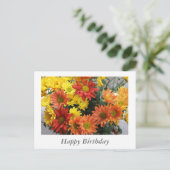 Carte Postale Fleurs marguerites rouges, jaunes, orange joyeux j (Debout devant)