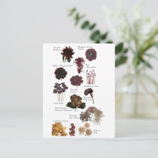 Carte Postale Fleurs marron chocolat (Debout devant)