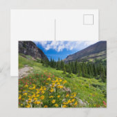 Carte Postale Fleurs | Montana Flower Path (Devant / Derrière)