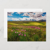 Carte Postale Fleurs | Monts Altaï, Sibérie, Russie (Devant / Derrière)