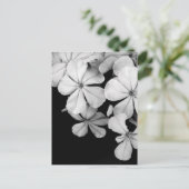 Carte Postale Fleurs noir et blanc (Debout devant)