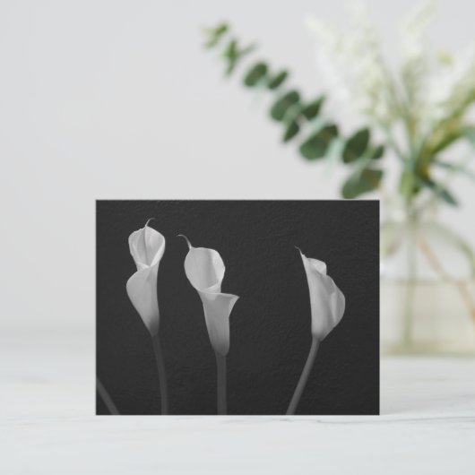 Carte Postale Fleurs noires et blanches (Debout devant)