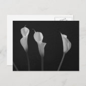 Carte Postale Fleurs noires et blanches (Devant / Derrière)