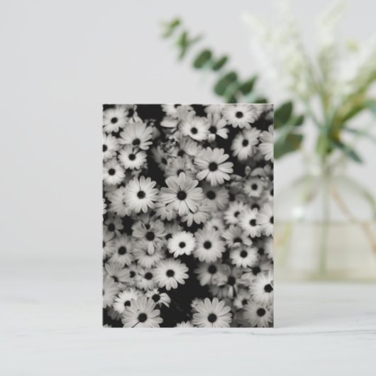 Carte Postale Fleurs noires et blanches (Debout devant)
