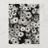 Carte Postale Fleurs noires et blanches (Devant)