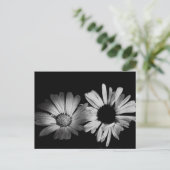 Carte Postale Fleurs noires et blanches (Debout devant)