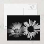 Carte Postale Fleurs noires et blanches (Devant / Derrière)