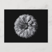 Carte Postale Fleurs Noires Et Blanches 10 (Devant)