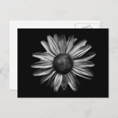 Carte Postale Fleurs Noires Et Blanches 18 (Devant / Derrière)
