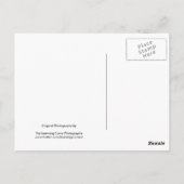 Carte Postale Fleurs Noires Et Blanches 18 (Dos)