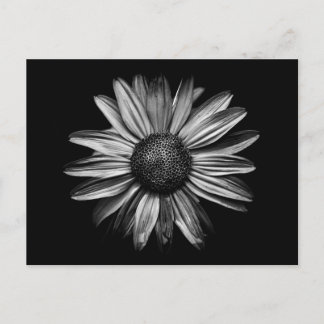 Carte Postale Fleurs Noires Et Blanches 18