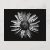 Carte Postale Fleurs Noires Et Blanches 18 (Devant)