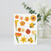 Carte Postale Fleurs orange (Debout devant)