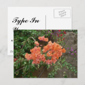Carte Postale Fleurs orange (Devant / Derrière)