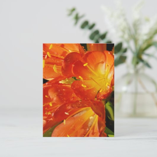 Carte Postale Fleurs orange (Debout devant)