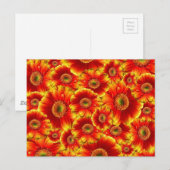 Carte Postale Fleurs Orange Clair (Devant / Derrière)