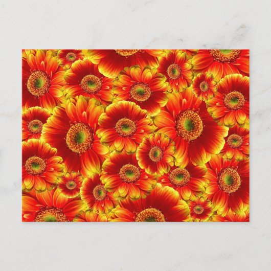 Carte Postale Fleurs Orange Clair (Devant)