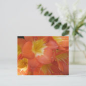 Carte Postale Fleurs orange et jaune à Longwood Gardens, PA (Debout devant)