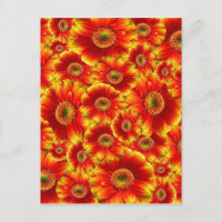 Fleurs orange vives