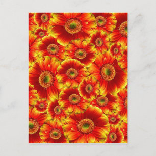 Carte Postale Fleurs orange vives