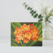 Carte Postale Fleurs oranges (Debout devant)