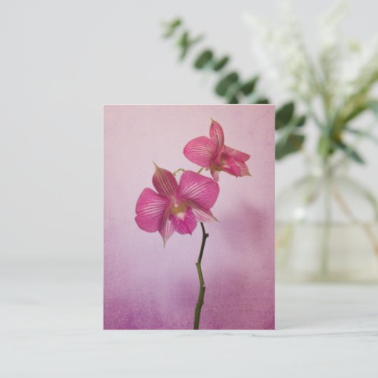 Carte postale Fleurs Orchidées roses (Debout devant)