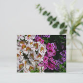 Carte Postale Fleurs Papillon Blanc Rose et Violet (Debout devant)
