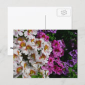 Carte Postale Fleurs Papillon Blanc Rose et Violet (Devant / Derrière)
