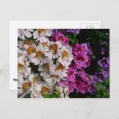 Carte Postale Fleurs papillon rose blanc et violet (Devant / Derrière)