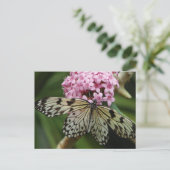 Carte Postale Fleurs papillons 2 (Debout devant)