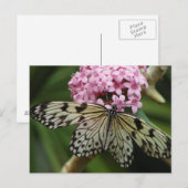 Carte Postale Fleurs papillons 2 (Devant / Derrière)