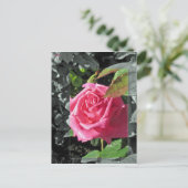 Carte Postale Fleurs par le lac - rose (Debout devant)