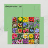 Carte Postale Fleurs patrimoniales - États-Unis (Devant / Derrière)