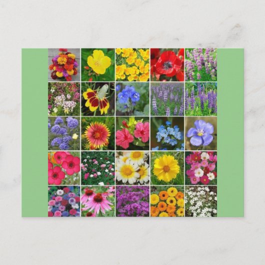Carte Postale Fleurs patrimoniales - États-Unis (Devant)