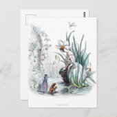 Carte Postale Fleurs personnifiées (Devant / Derrière)