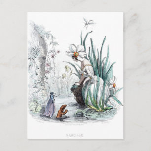 Carte Postale Fleurs personnifiées