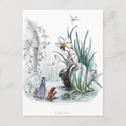 Carte Postale Fleurs personnifiées (Devant)