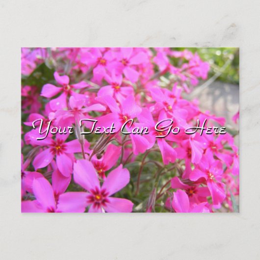 Carte postale Fleurs Pink (Devant)