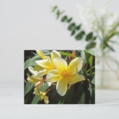 Carte postale Fleurs Plumeria Jaune (Debout devant)