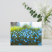 Carte Postale Fleurs printanières dans un champ (Debout devant)