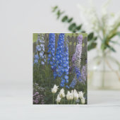 Carte Postale Fleurs printanières le long d'un chemin de jardin, (Debout devant)