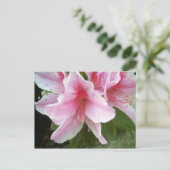 Carte Postale Fleurs Rhododendron (Debout devant)