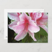 Carte Postale Fleurs Rhododendron (Devant / Derrière)