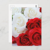 Carte Postale fleurs rose fleur blanc rouge amour (Devant / Derrière)
