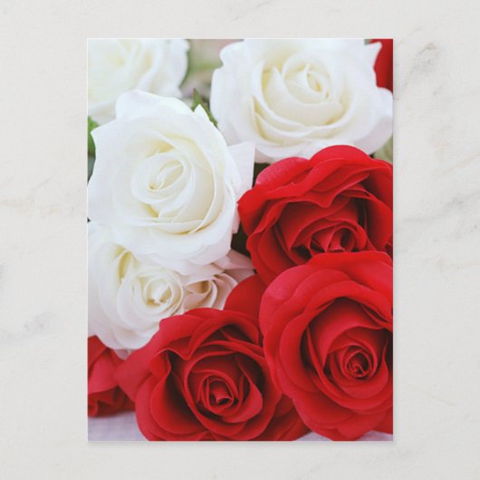 Carte Postale fleurs rose fleur blanc rouge amour (Devant)