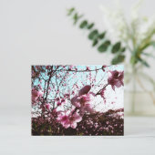 Carte postale Fleurs rose printemps (Debout devant)